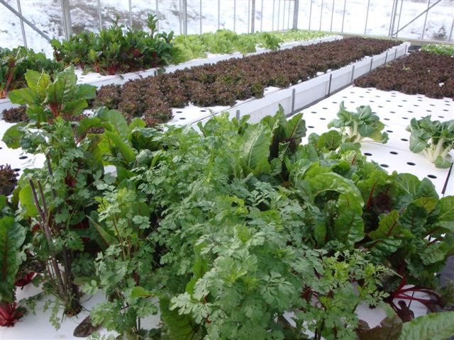 DSC06178 (Small).JPG