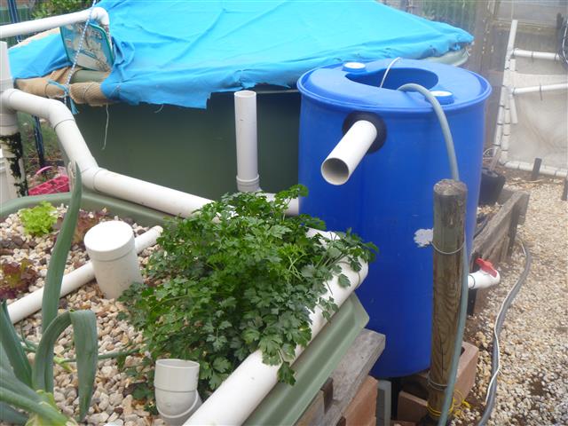 P1010228 (Small).JPG