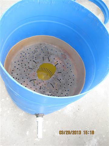 IMG_2969_zps395b57e5 (Small).jpg