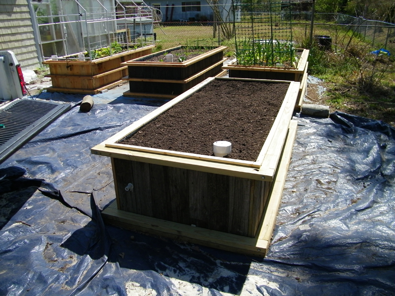 4th 4 x 8 bed ready to plant 3-28-2013.jpg