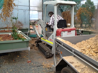 digging fish tank 1 sm.jpg