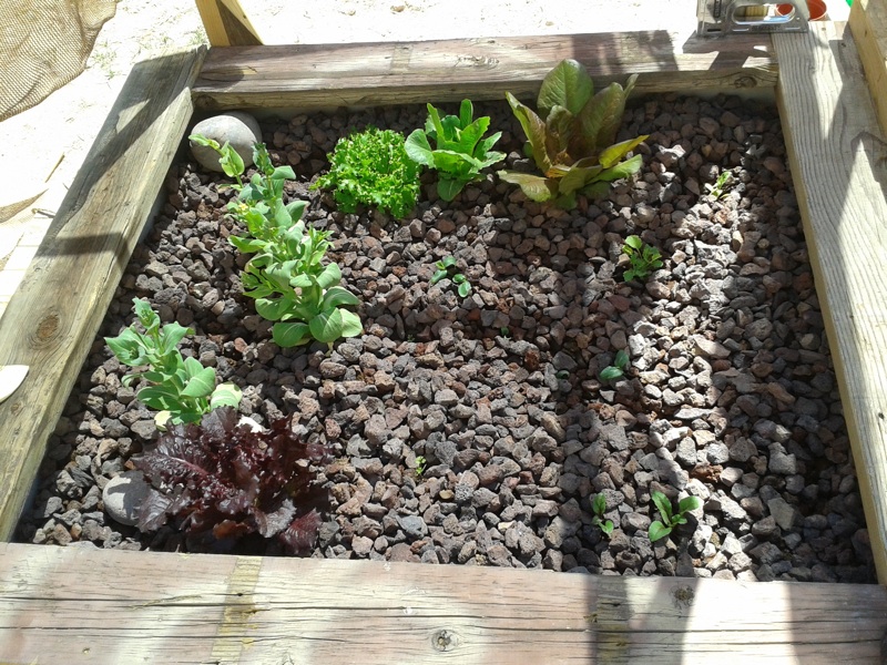 2013-03-29 13.09.56.jpg