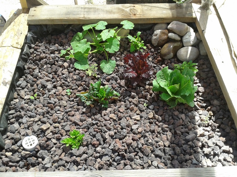 2013-03-29 13.09.46.jpg