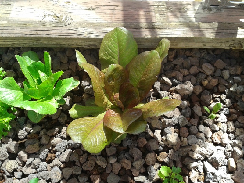 2013-03-29 13.10.09.jpg