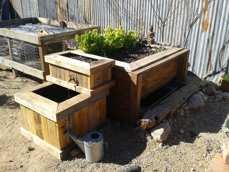 2013-03-10 15.26.04.jpg