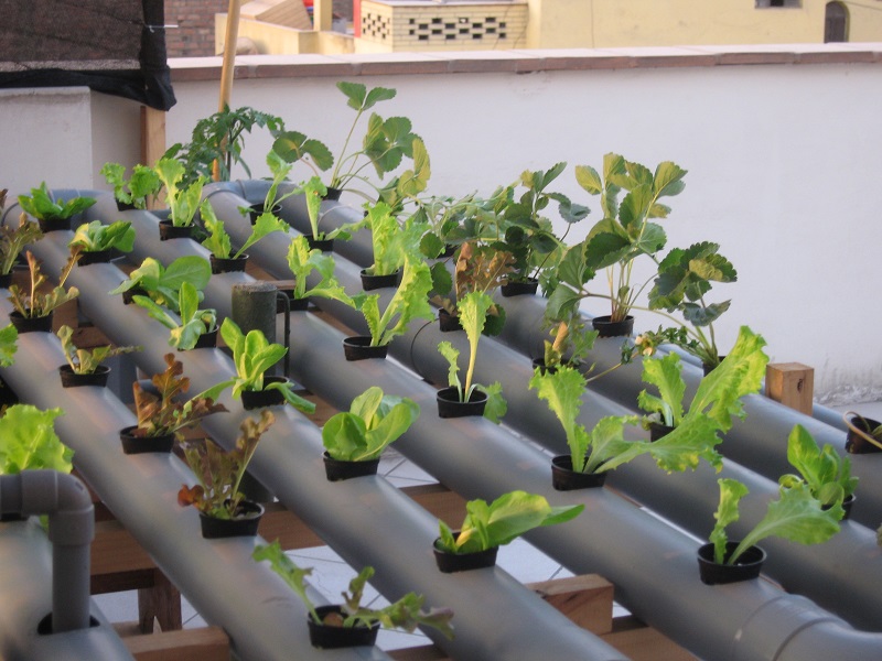 2013-04-02 00.03.24.jpg