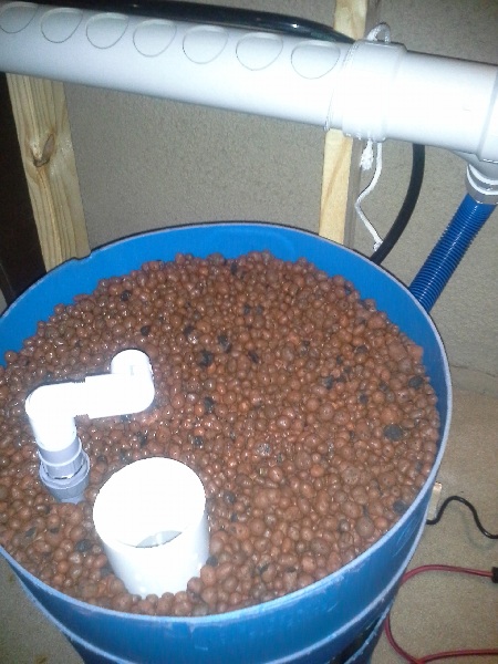 20130402_005209 - Copy.jpg