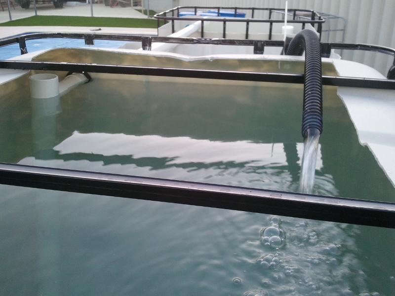 IMG_20130403_175958 (800x600).jpg