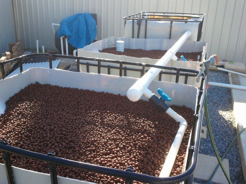 IMG_20130404_084216 (800x600).jpg