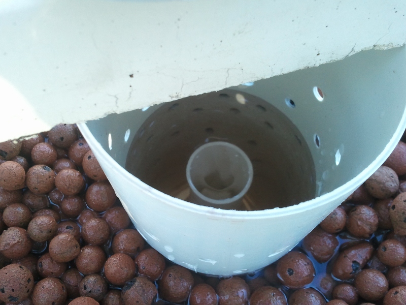 IMG_20130404_084914 (800x600).jpg