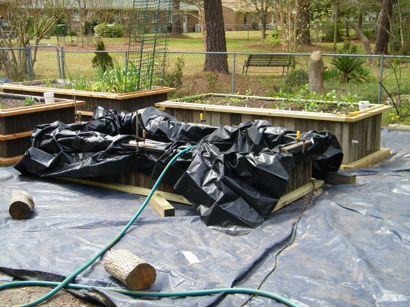5th wicking bed liner.jpg