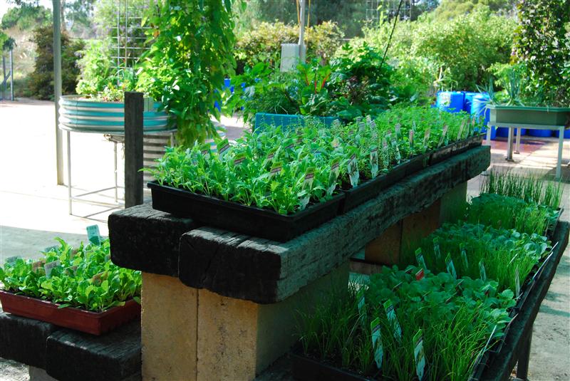 DSC_0616 (Custom).JPG