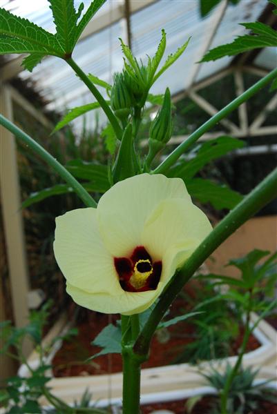 DSC_0588 (Custom).JPG