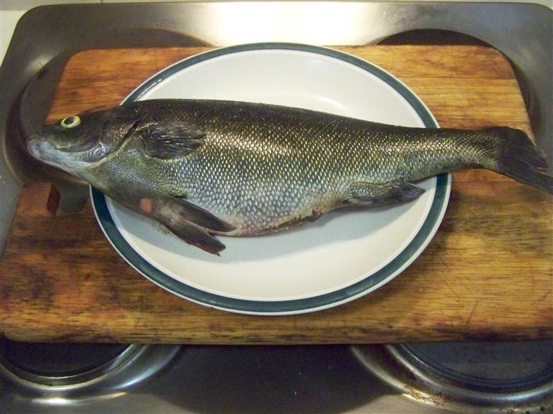 100_7580 (Custom).JPG