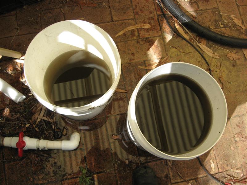 filter3 (Medium).jpg