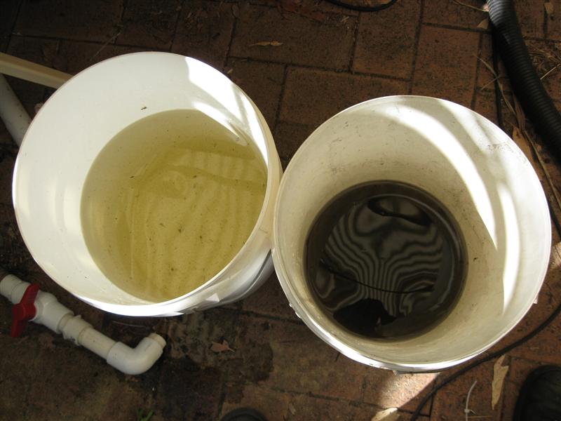 filter2 (Medium).jpg