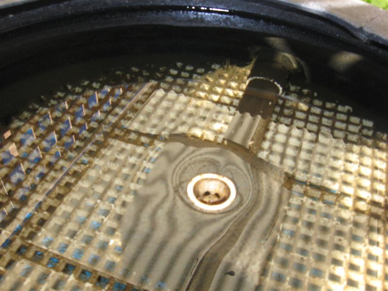 filter1 (Medium).jpg