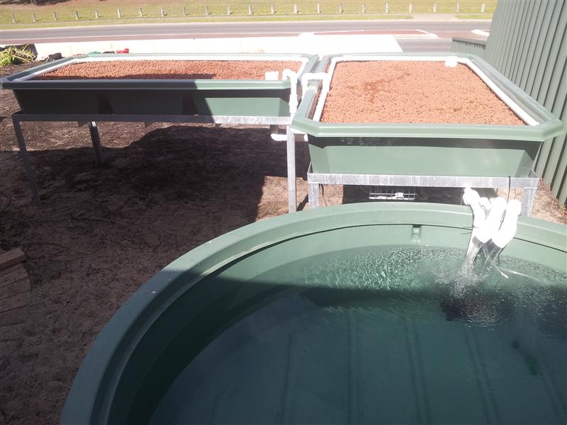 20130410_142445 (Custom).jpg