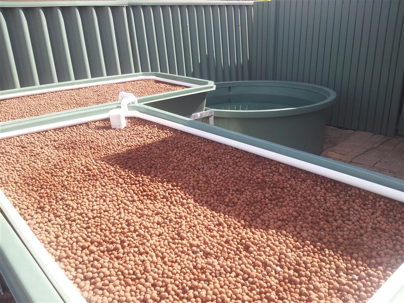 20130410_142814 (Custom).jpg