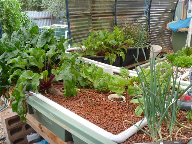 P1010263 (Small).JPG