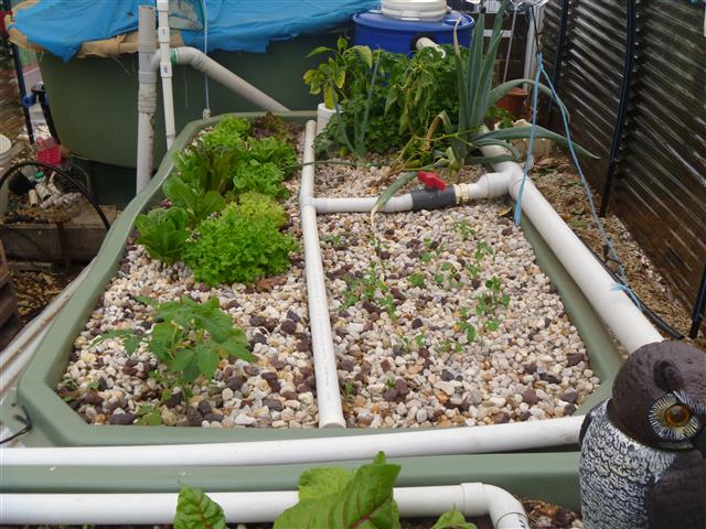 P1010264 (Small).JPG