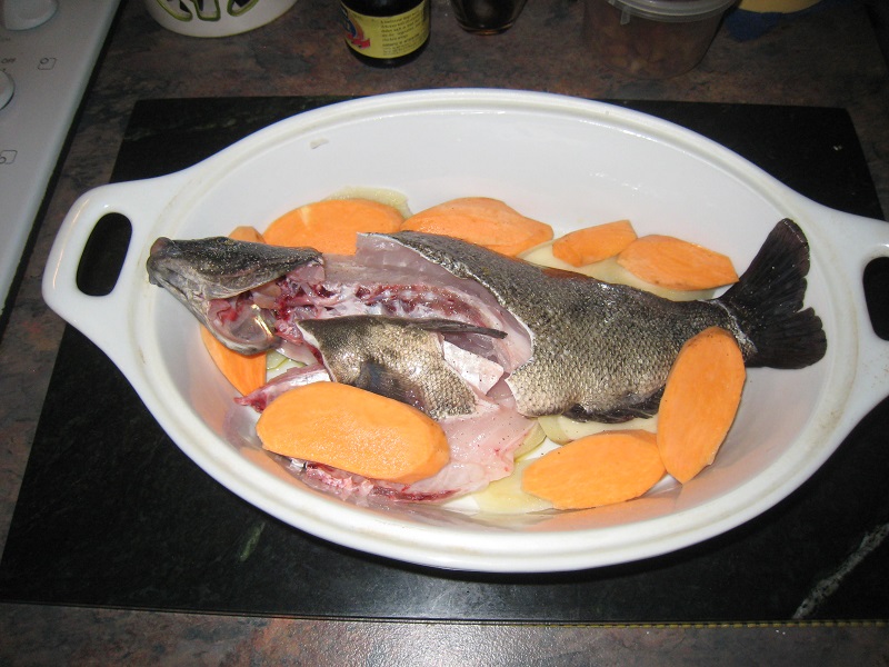 Resting on par boiled potato....jpg