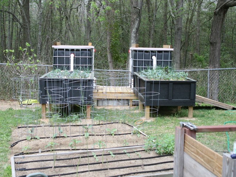 AP Alternate View.jpg