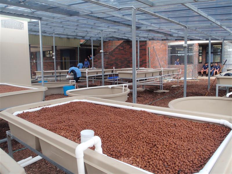 P4190134 (Custom).JPG