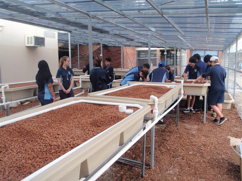 P4190132 (Custom).JPG