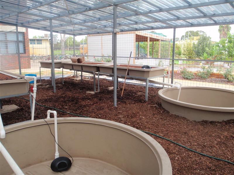 P4190126 (Custom).JPG