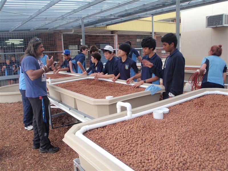 P4190124 (Custom).JPG