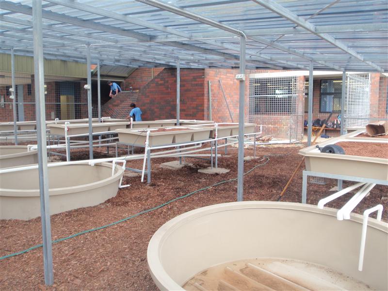 P4190122 (Custom).JPG