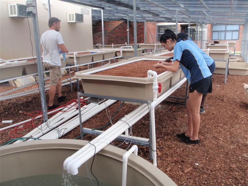 P4190119 (Custom).JPG