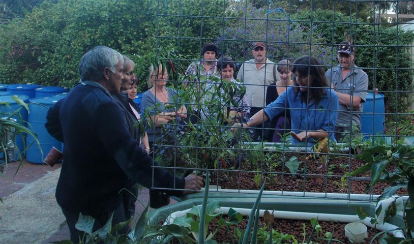 P4200183 c (Small).jpg