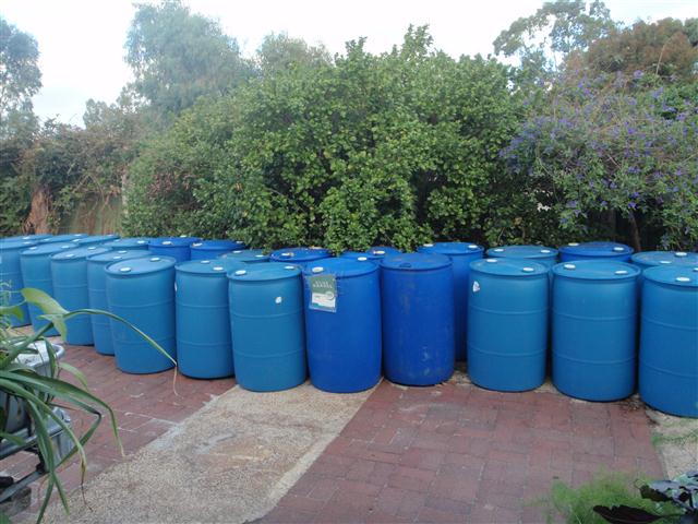 P4200158 (Small).JPG