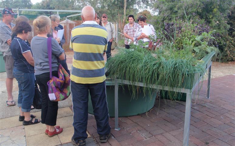 P4200157 r (Small).jpg