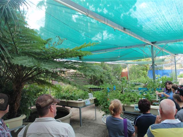 P4200146 (Small).JPG