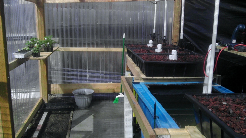 IMAG0119 (800x450) (3).jpg