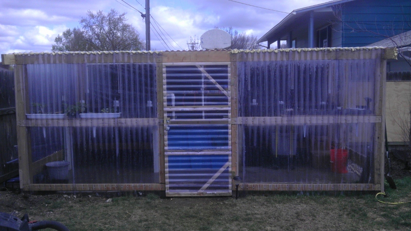 IMAG0113 (800x450).jpg