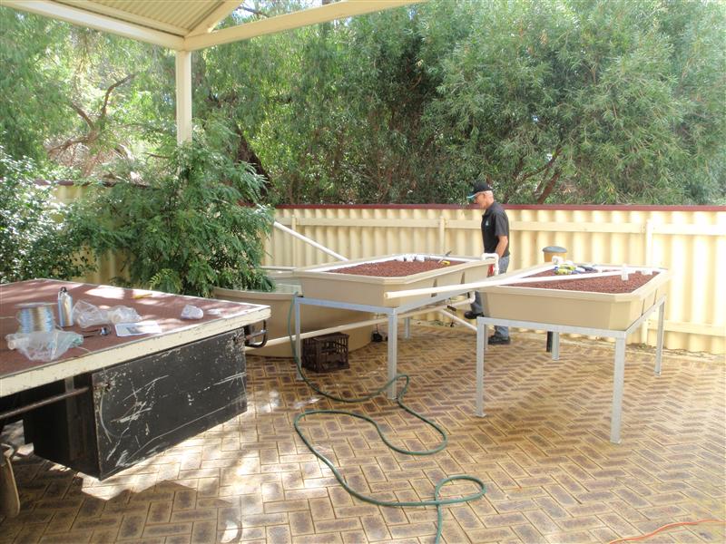 P4230194 (Custom).JPG