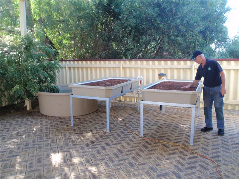 P4230197 (Custom).JPG