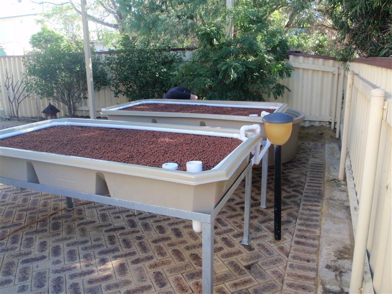 P4230198 (Custom).JPG