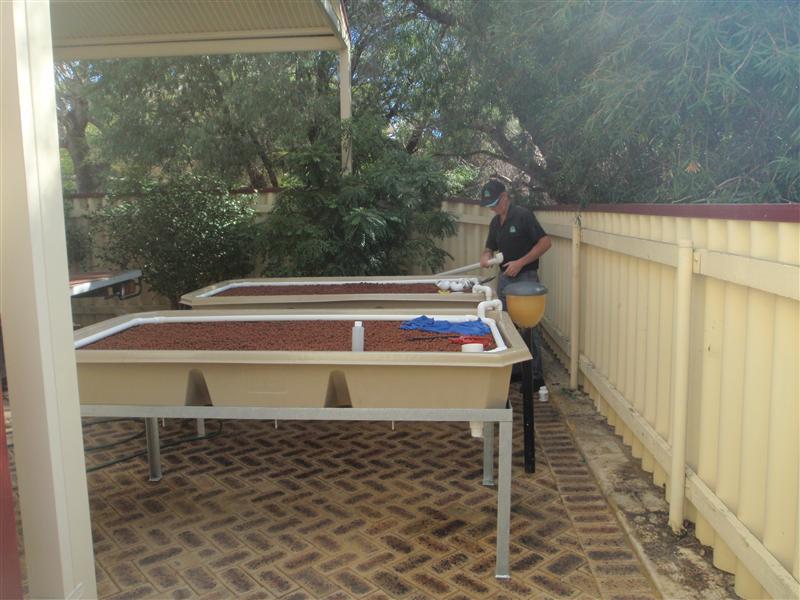 P4230195 (Custom).JPG