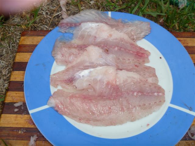 P1010278 (Small).JPG