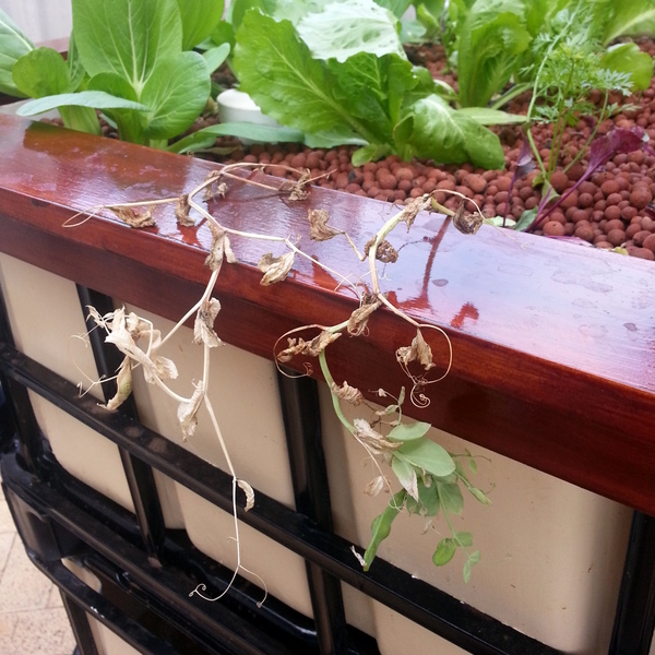 2013-04-27 15.16.45.jpg