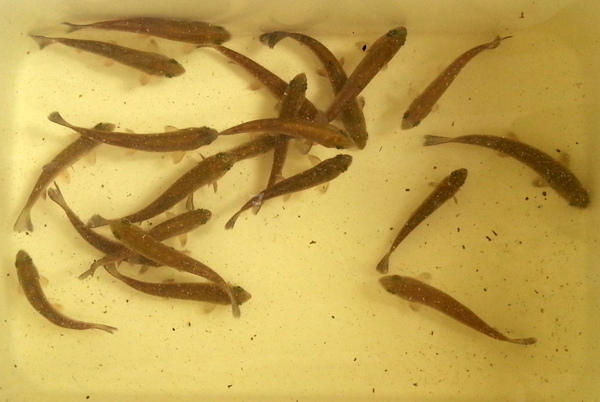 2013-04-27 11.31.57.jpg