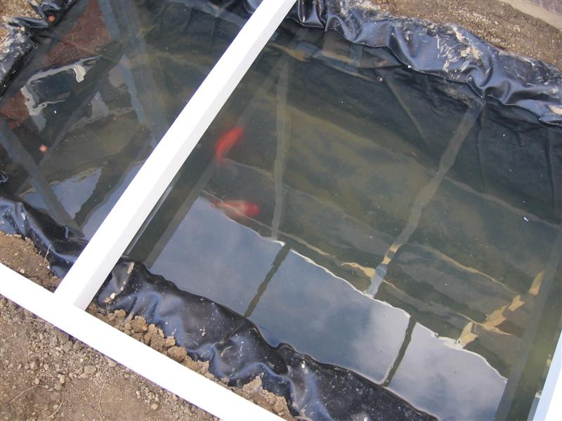 BestMates (Medium).jpg