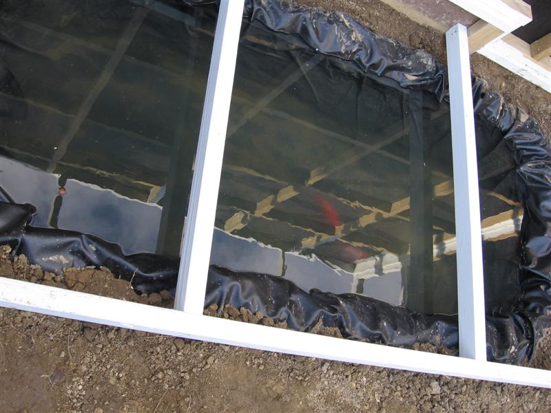 600litrepond (Medium).jpg