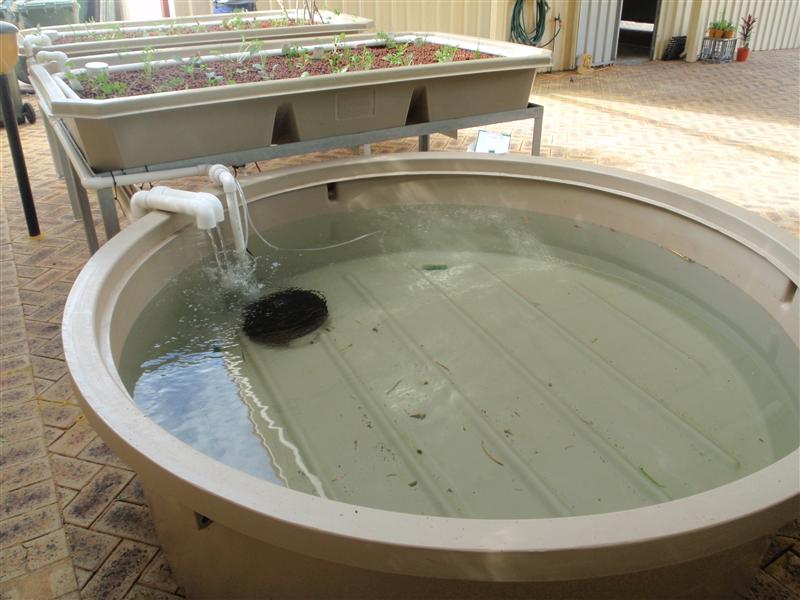 P4300242 (Custom).JPG