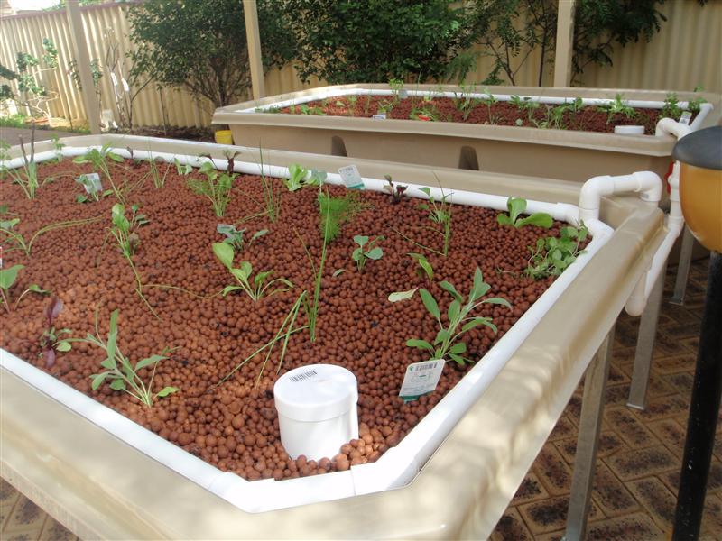 P4300245 (Custom).JPG